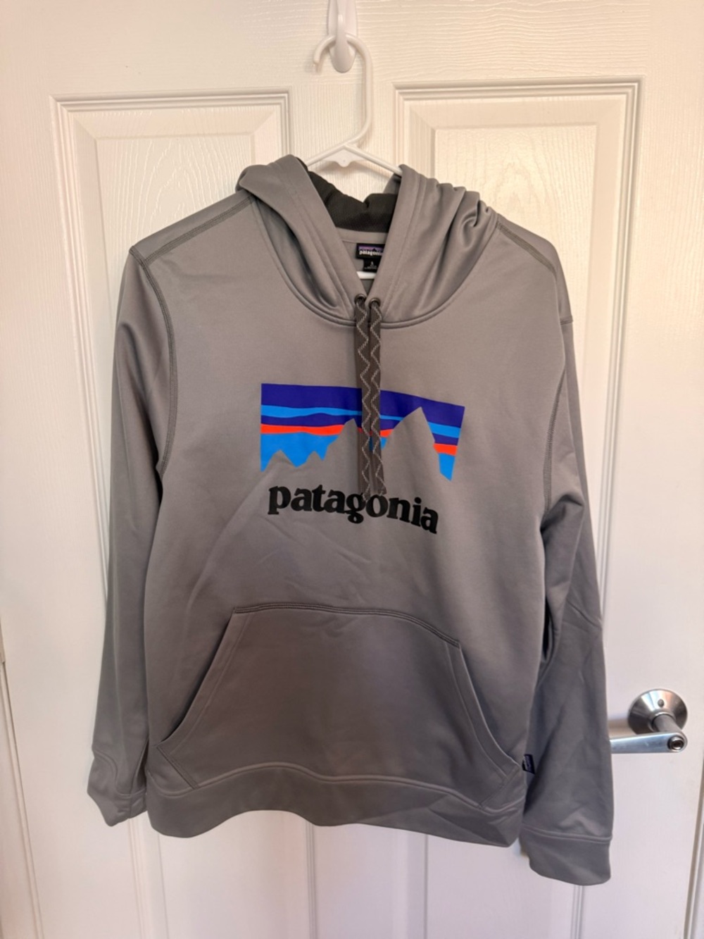 Patagonia Gray Hoodie with Blue and Red Logo